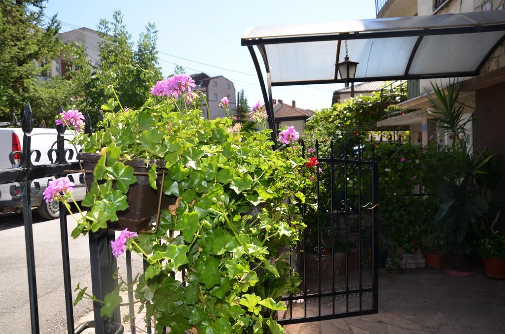 Villa Caci Ochryda Zewnętrze zdjęcie